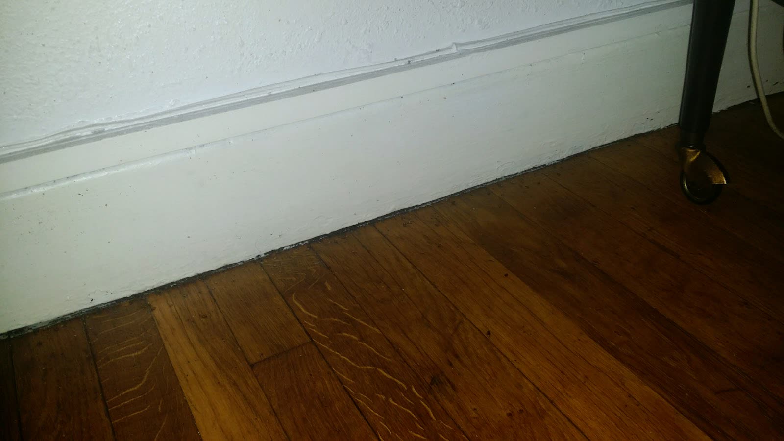 Inspection le long d’une plinthe et d’un parquet