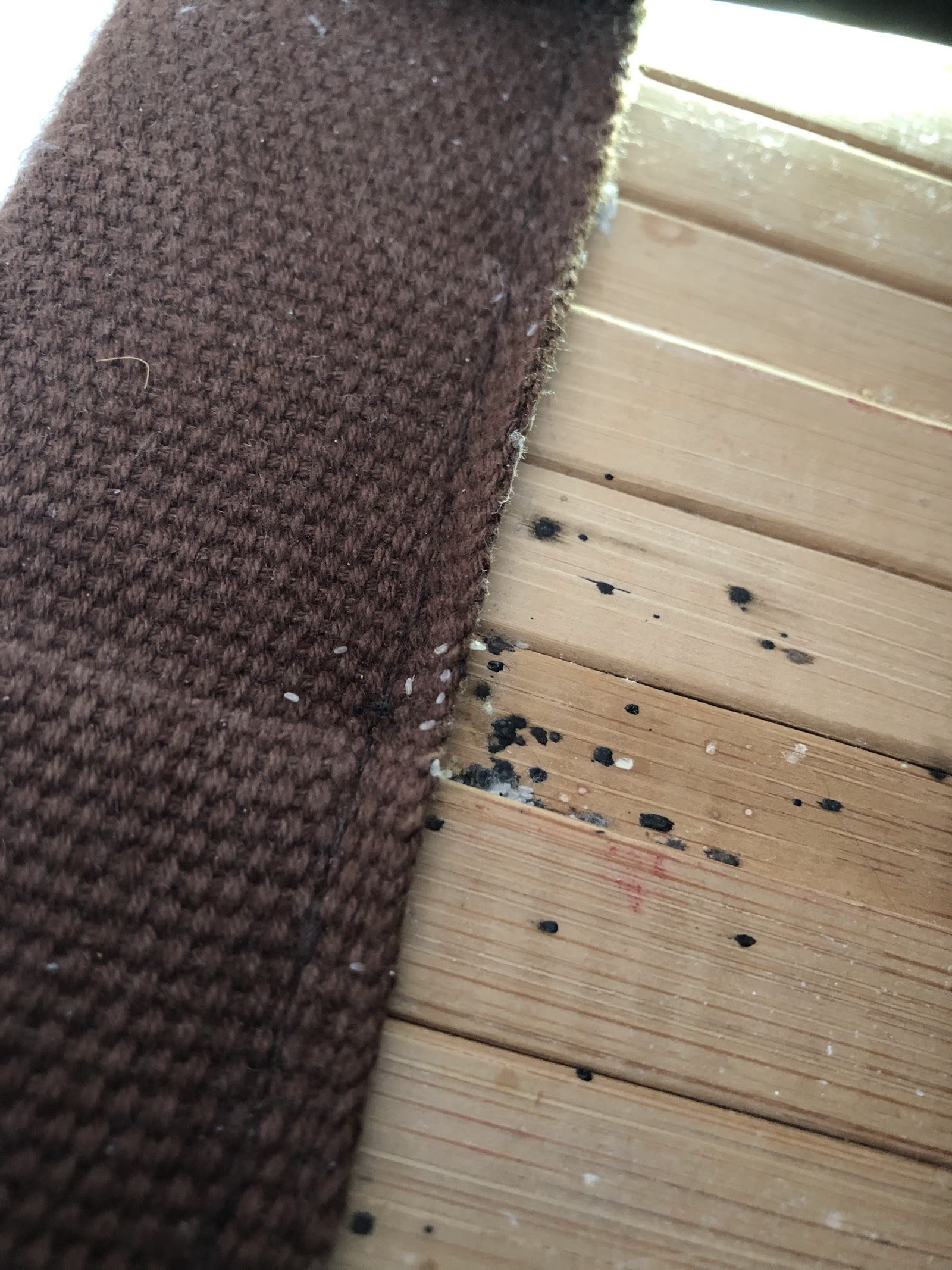 Examen rapproché d’une couture textile